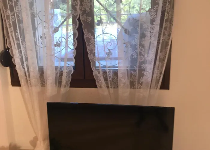 Elani * סיווירי